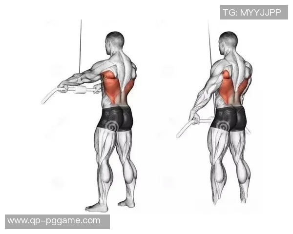 完美背部全方位练习，哪里不行补哪里